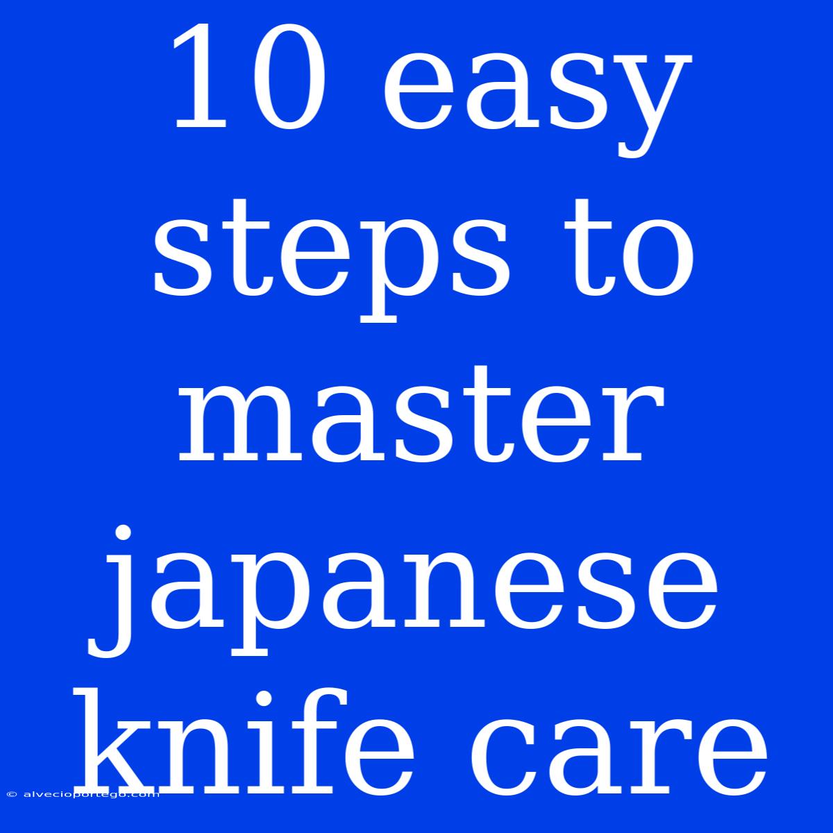 10 Easy Steps To Master Japanese Knife Care