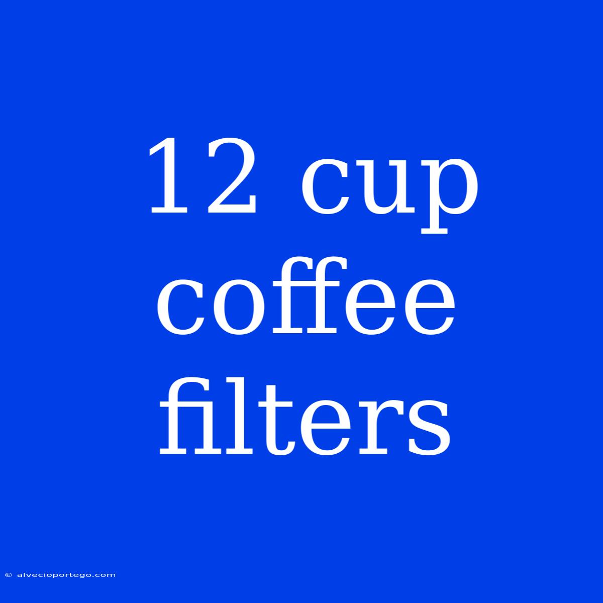 12 Cup Coffee Filters