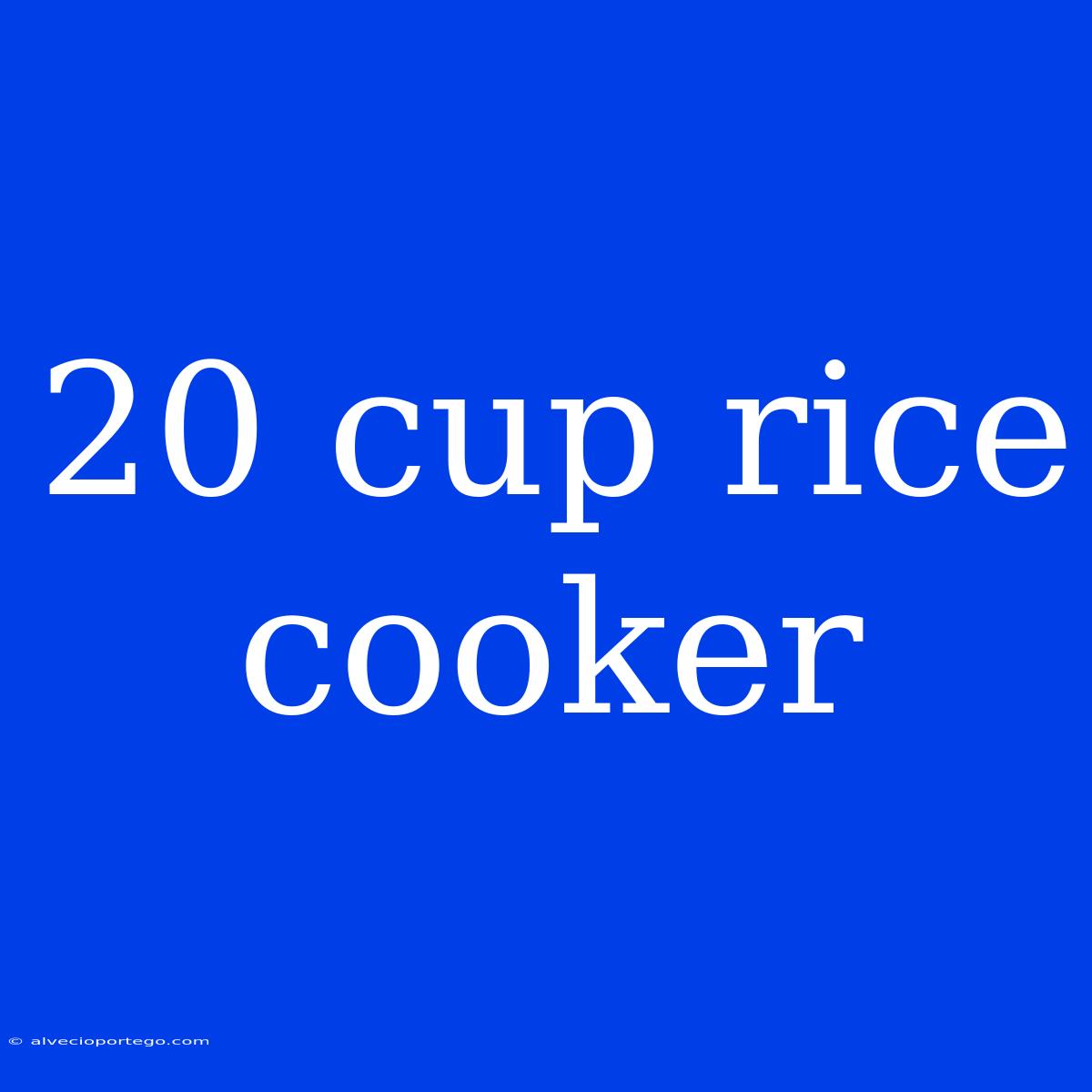 20 Cup Rice Cooker