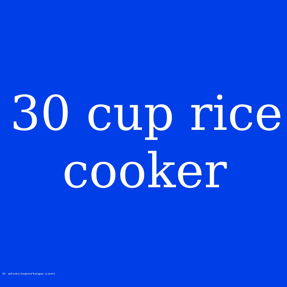 30 Cup Rice Cooker