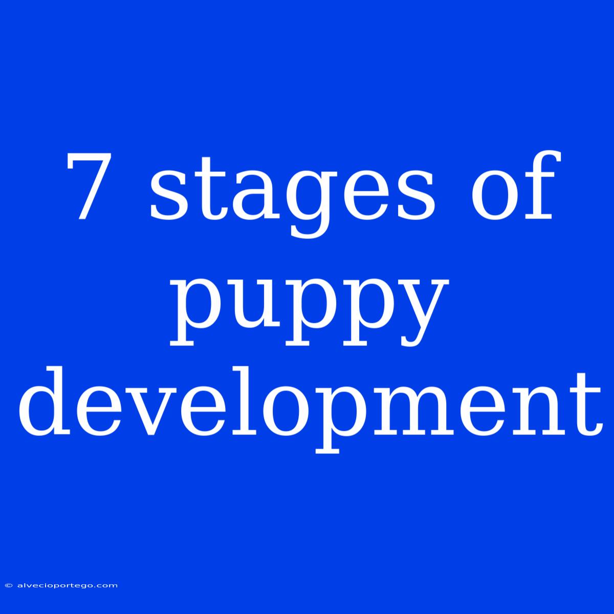 7 Stages Of Puppy Development