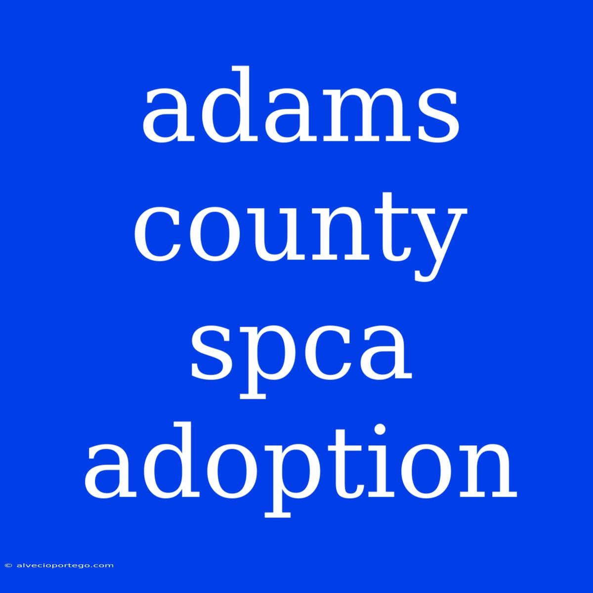 Adams County Spca Adoption