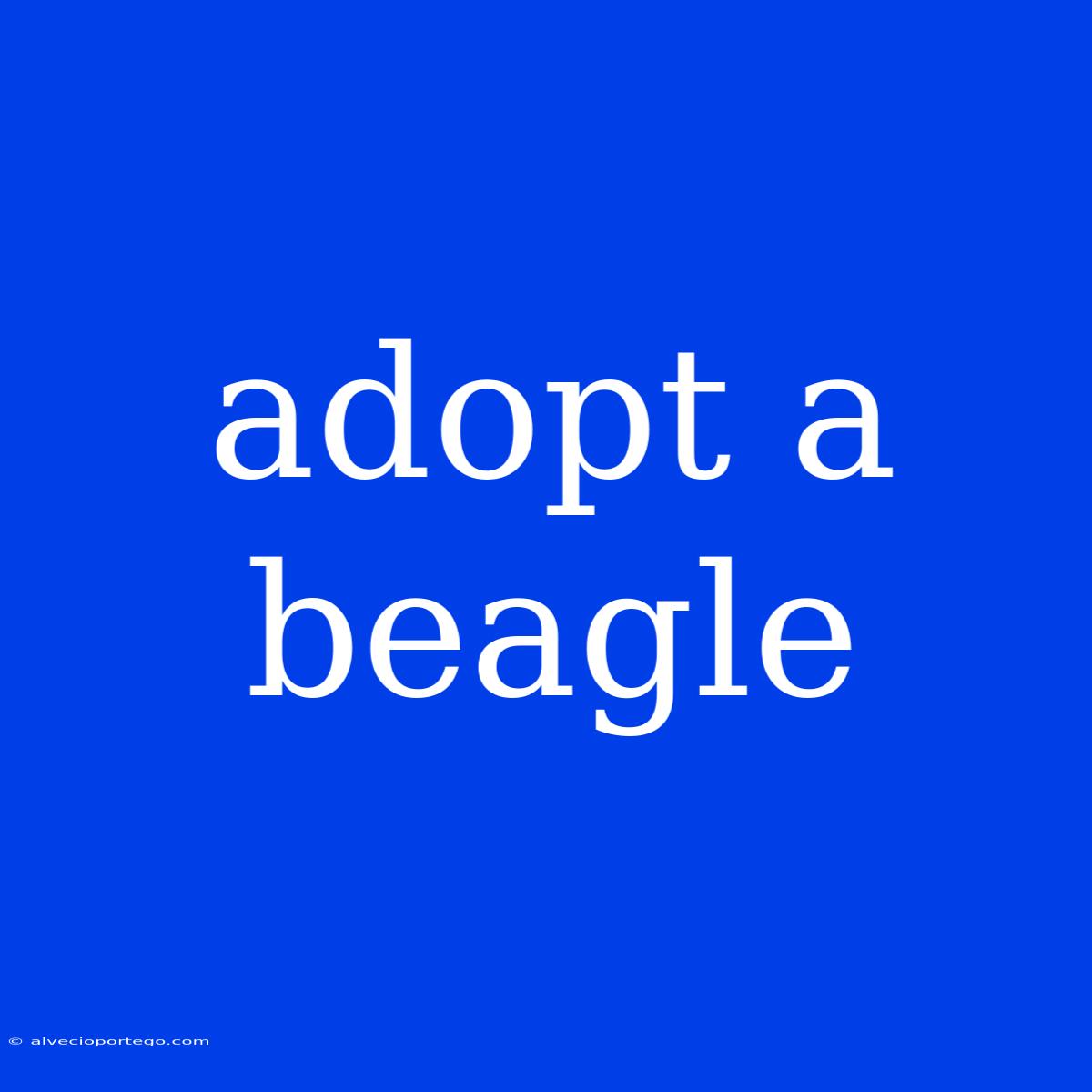 Adopt A Beagle