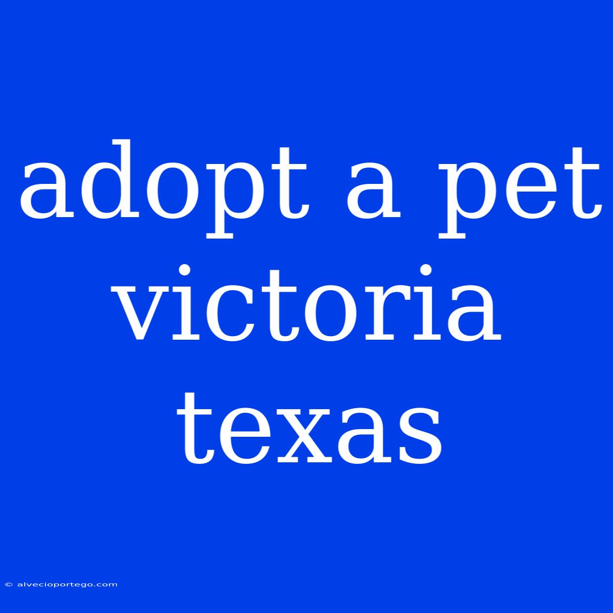 Adopt A Pet Victoria Texas