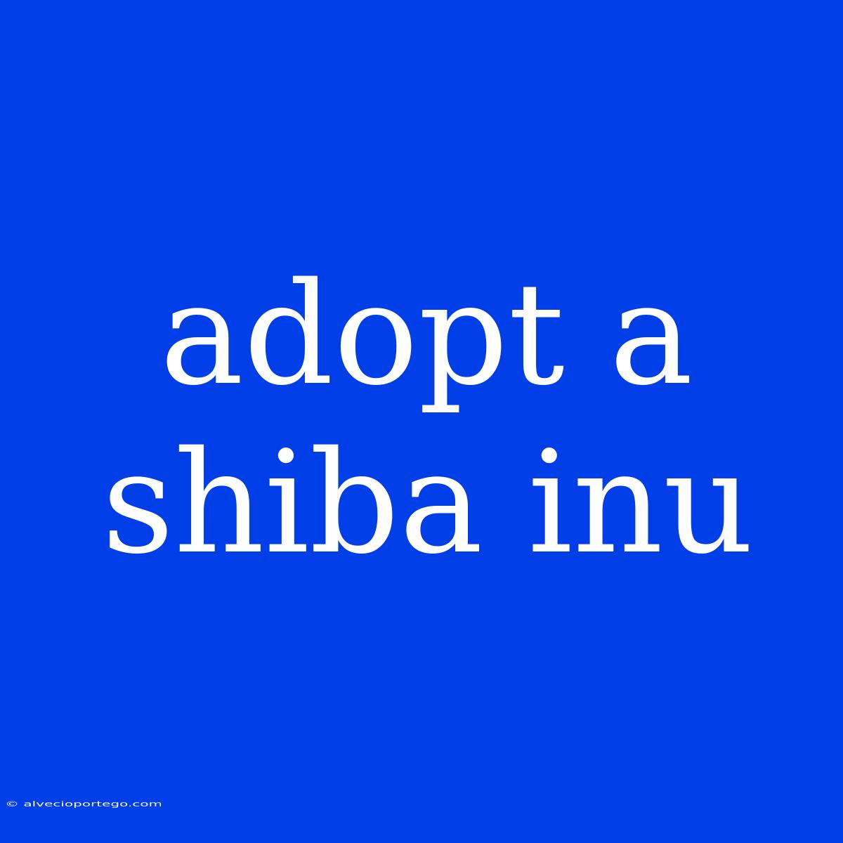 Adopt A Shiba Inu