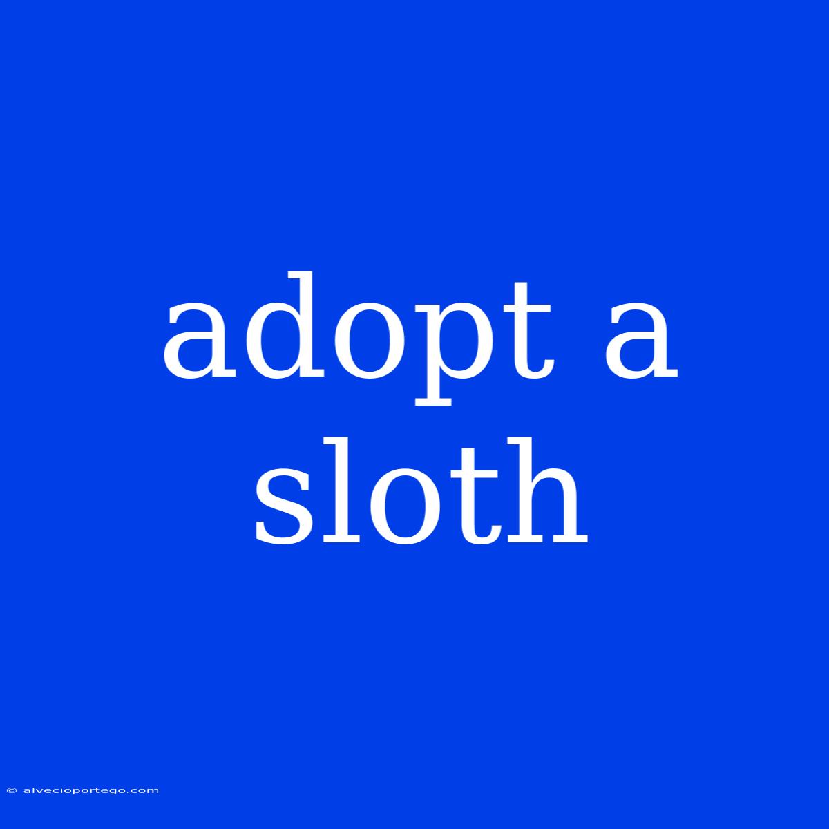 Adopt A Sloth