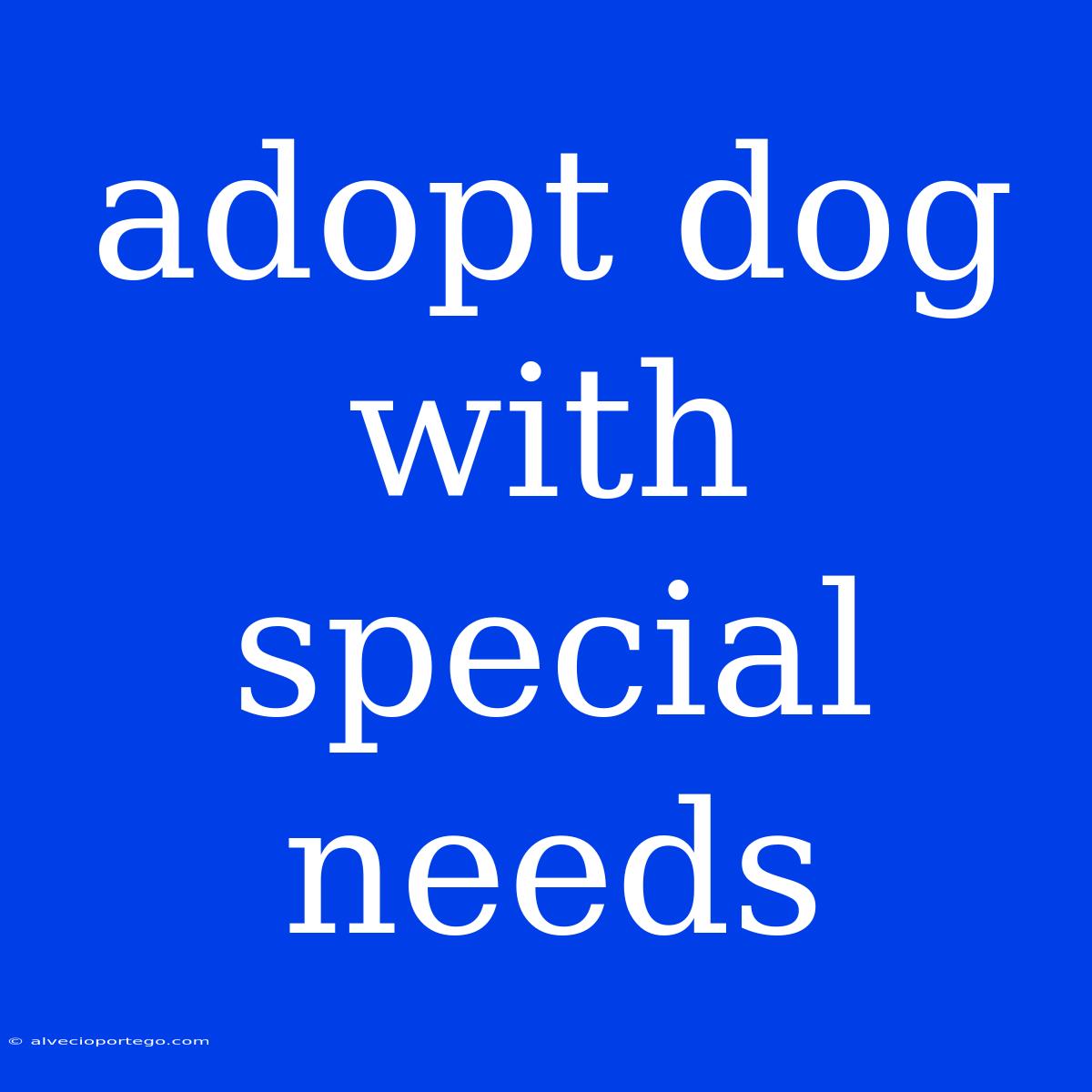 Adopt Dog With Special Needs