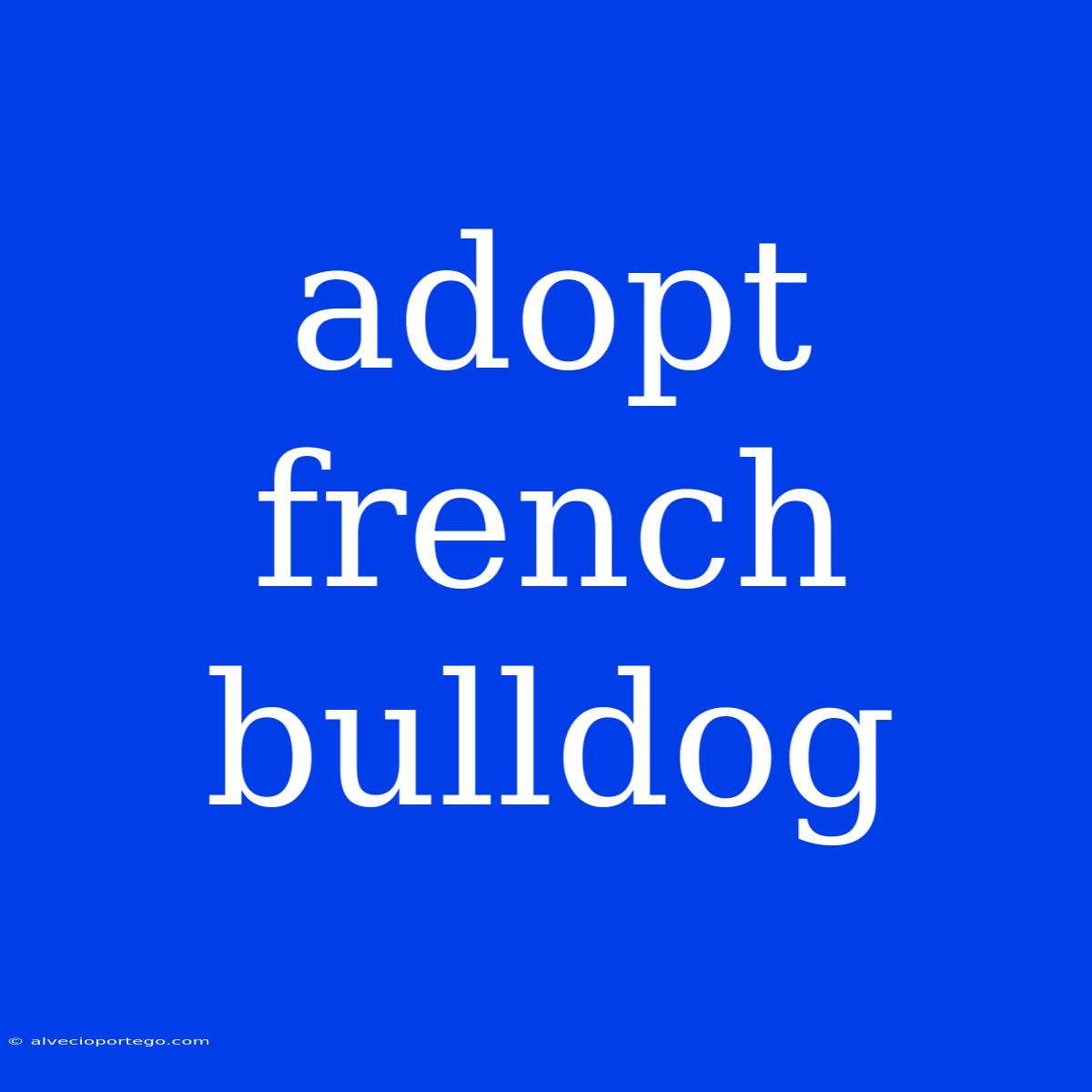 Adopt French Bulldog