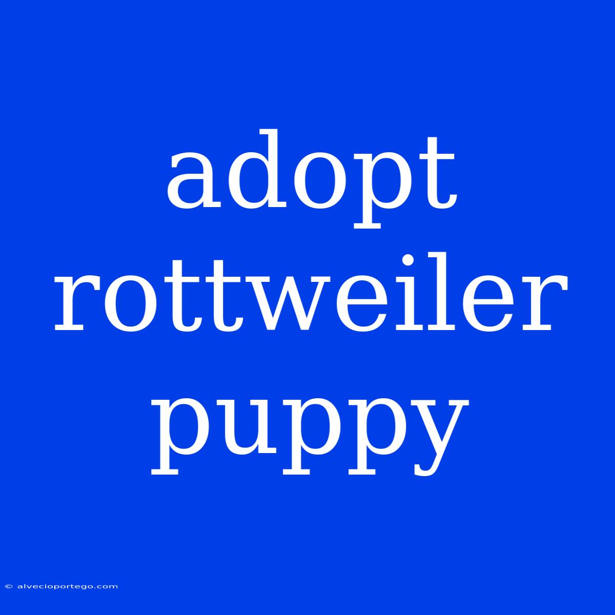 Adopt Rottweiler Puppy