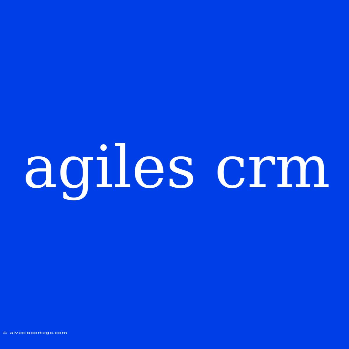 Agiles Crm