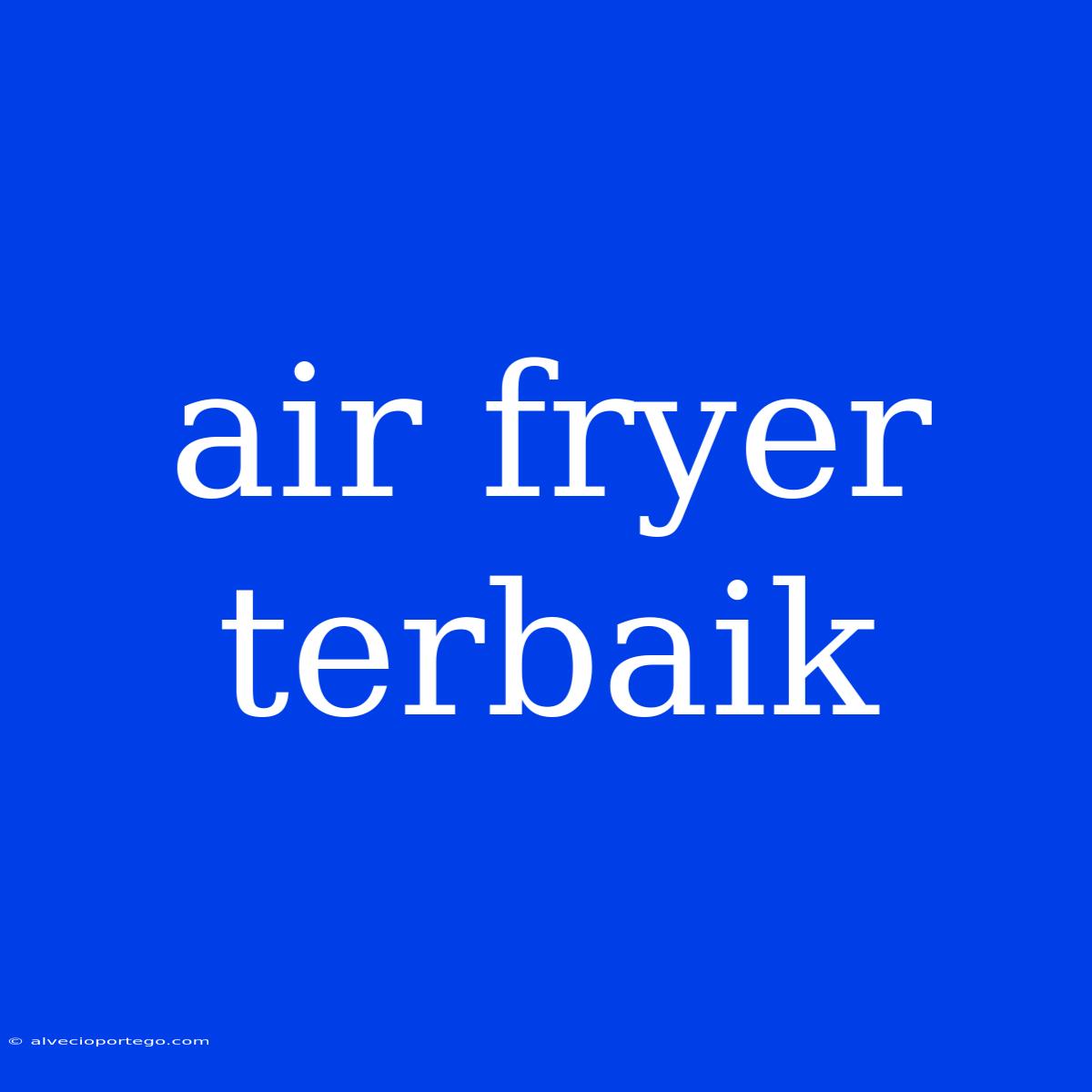 Air Fryer Terbaik