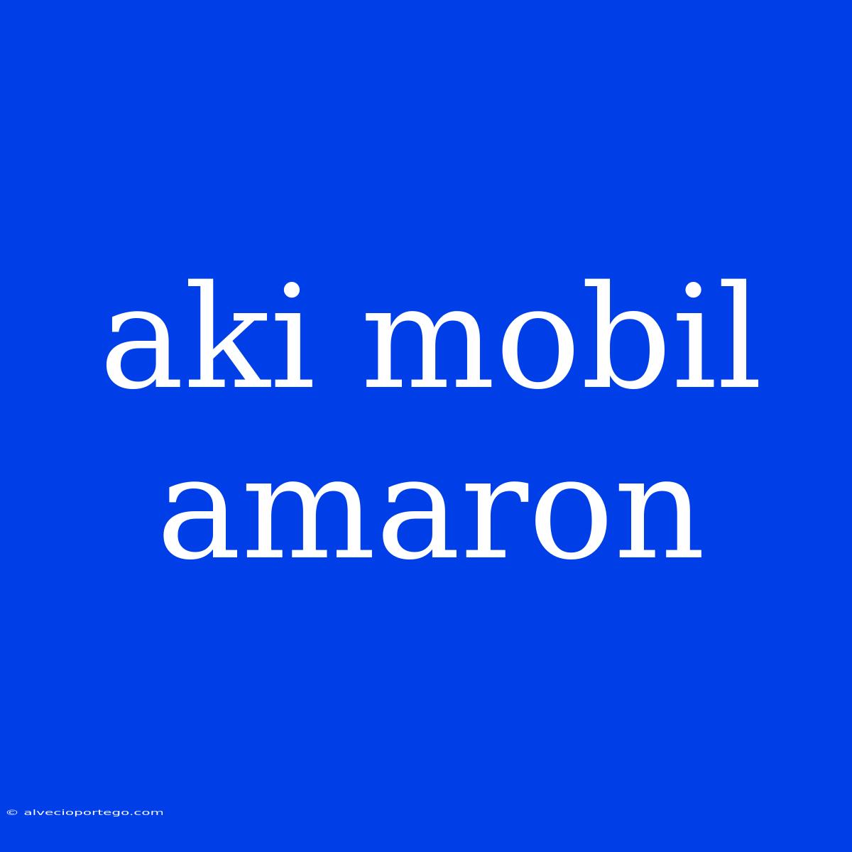 Aki Mobil Amaron