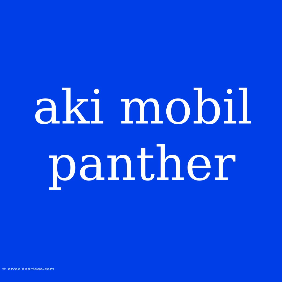 Aki Mobil Panther