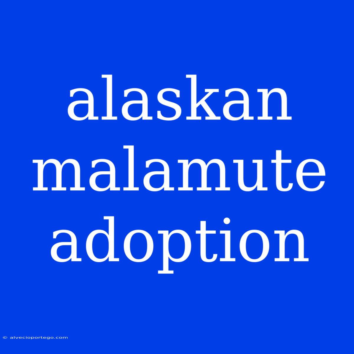 Alaskan Malamute Adoption