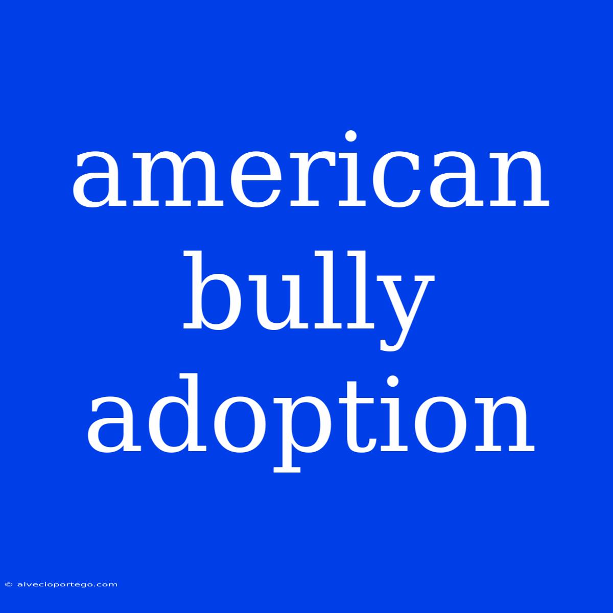 American Bully Adoption