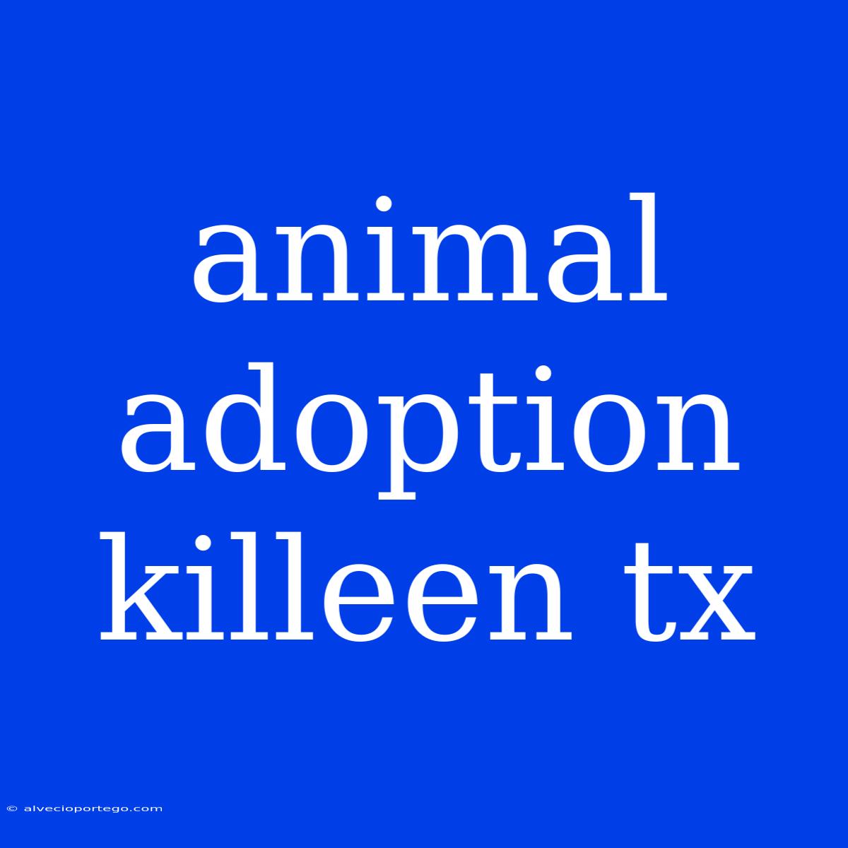 Animal Adoption Killeen Tx