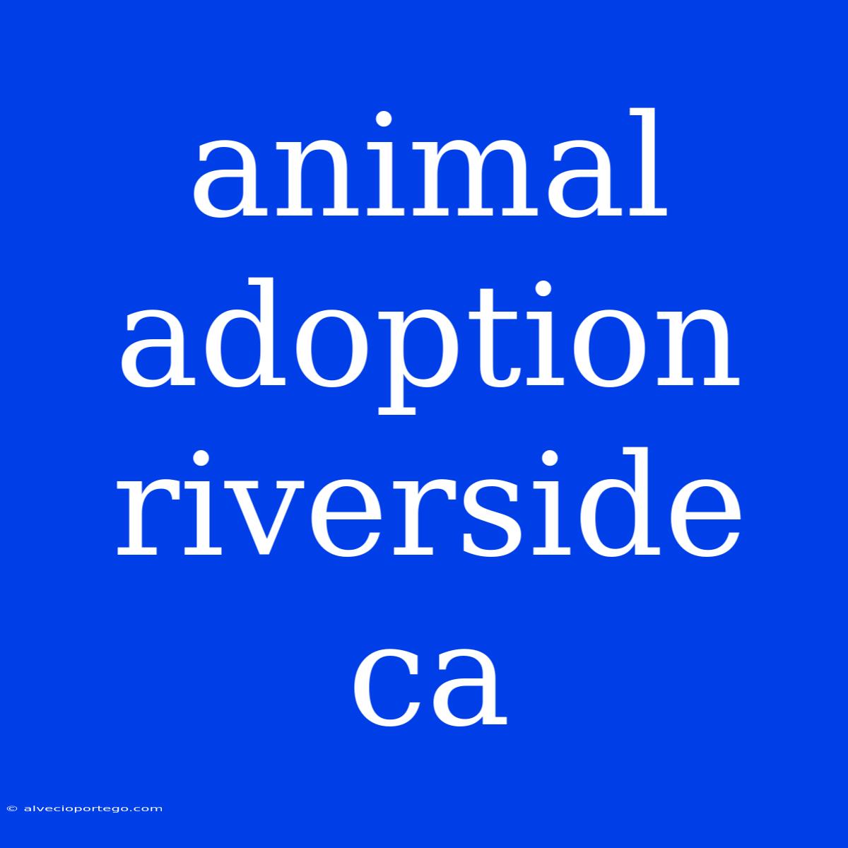 Animal Adoption Riverside Ca