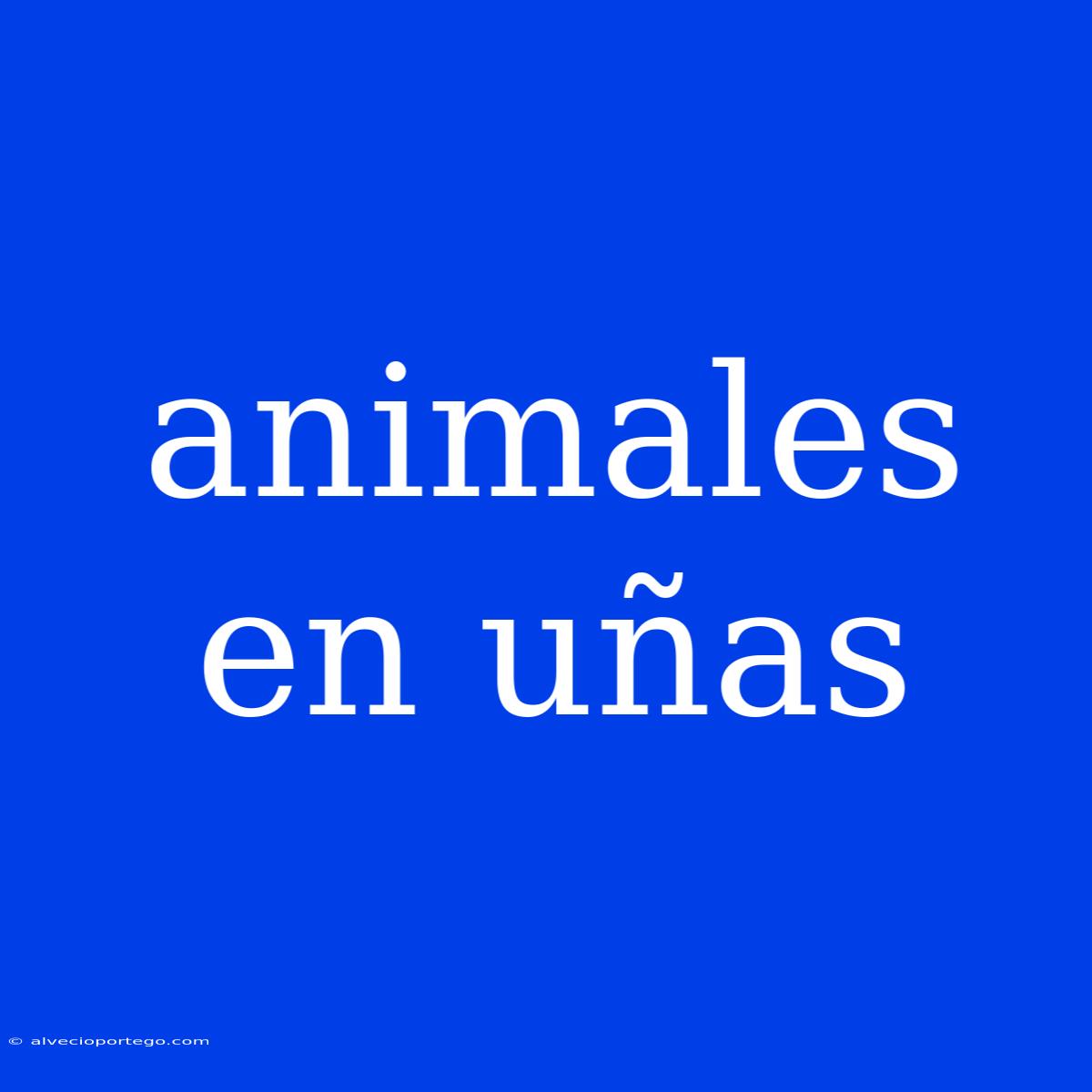 Animales En Uñas