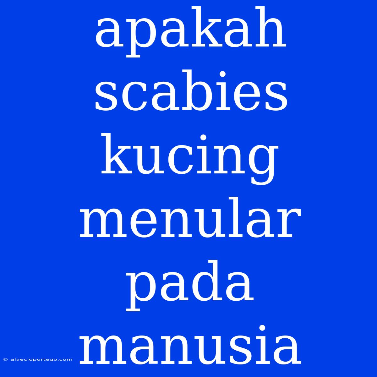 Apakah Scabies Kucing Menular Pada Manusia