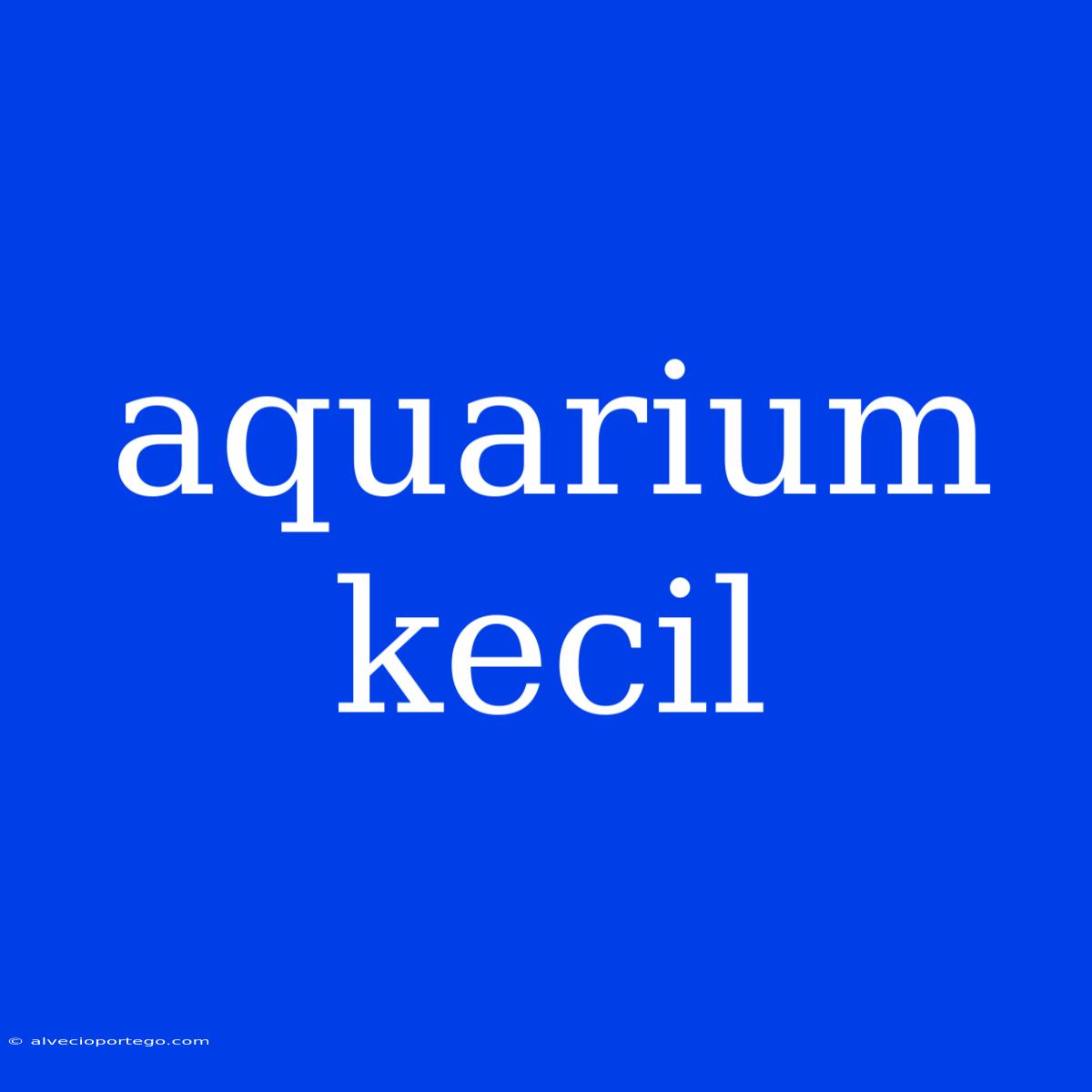 Aquarium Kecil