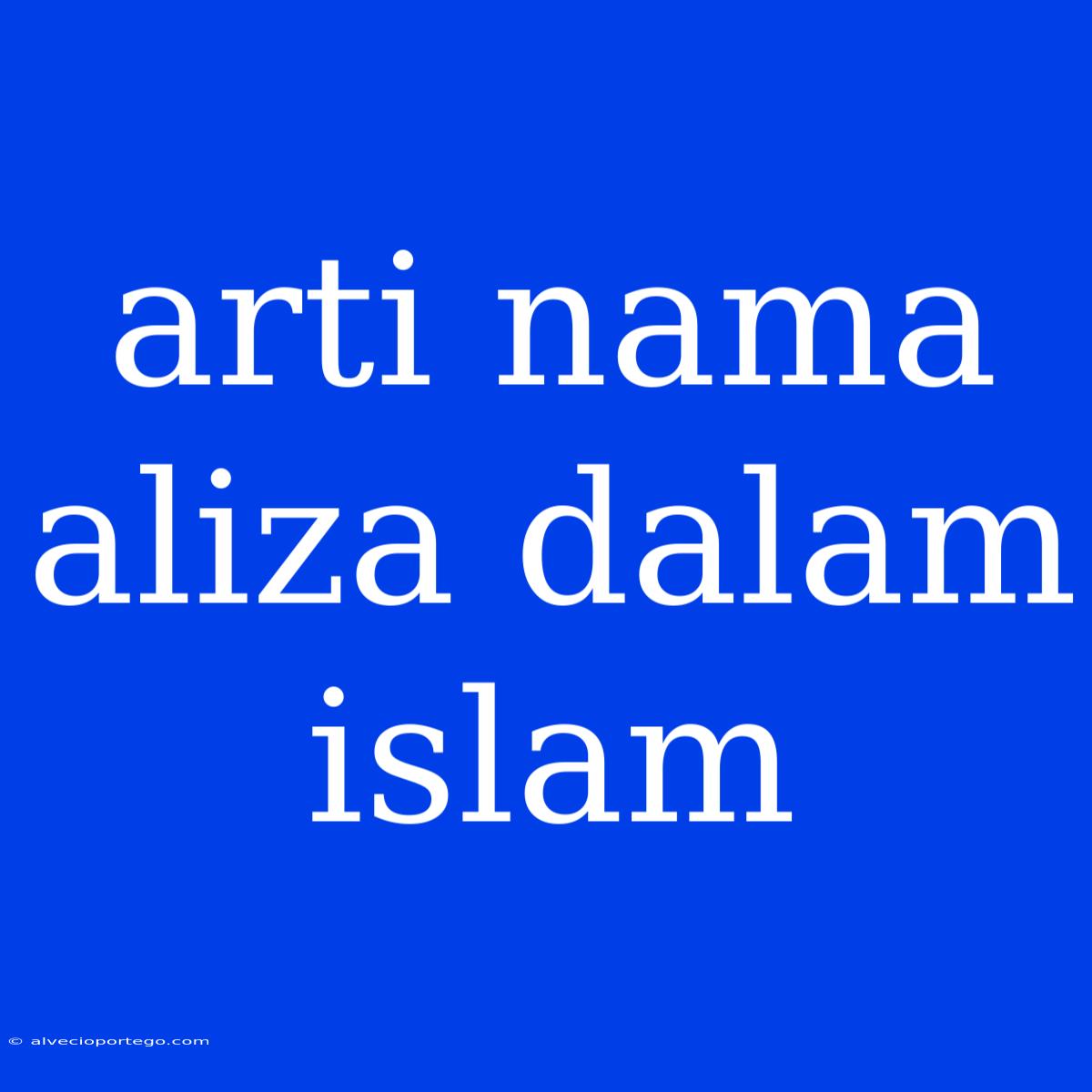 Arti Nama Aliza Dalam Islam