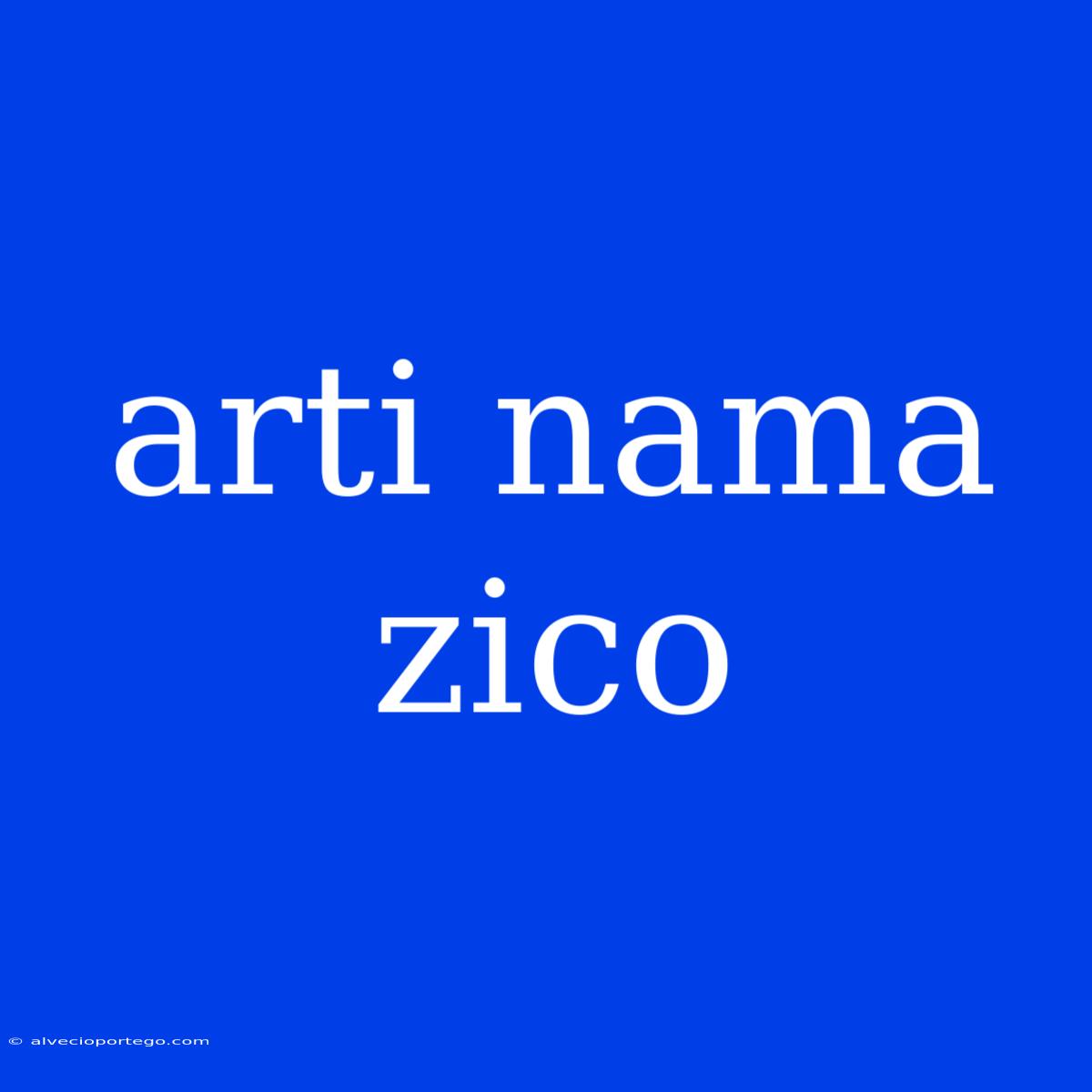 Arti Nama Zico