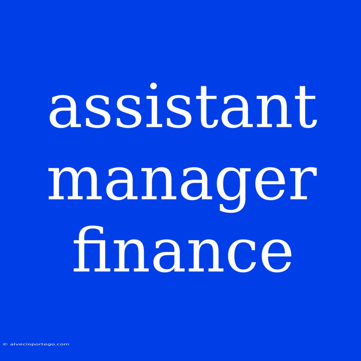 Assistant Manager Finance