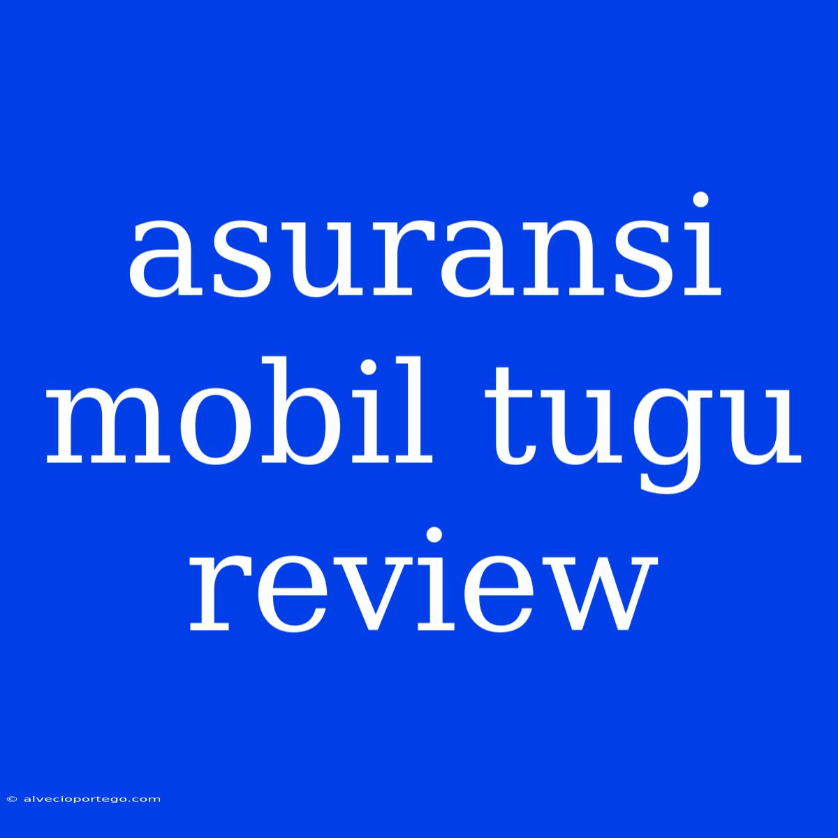 Asuransi Mobil Tugu Review