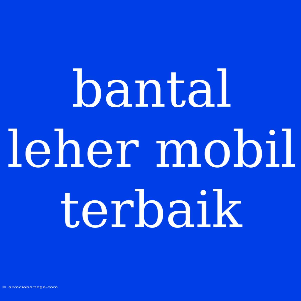 Bantal Leher Mobil Terbaik