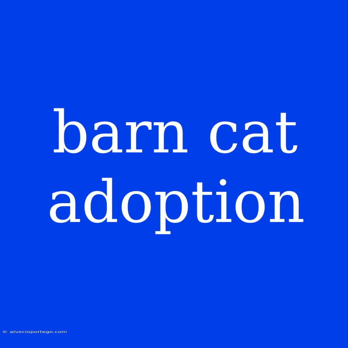 Barn Cat Adoption