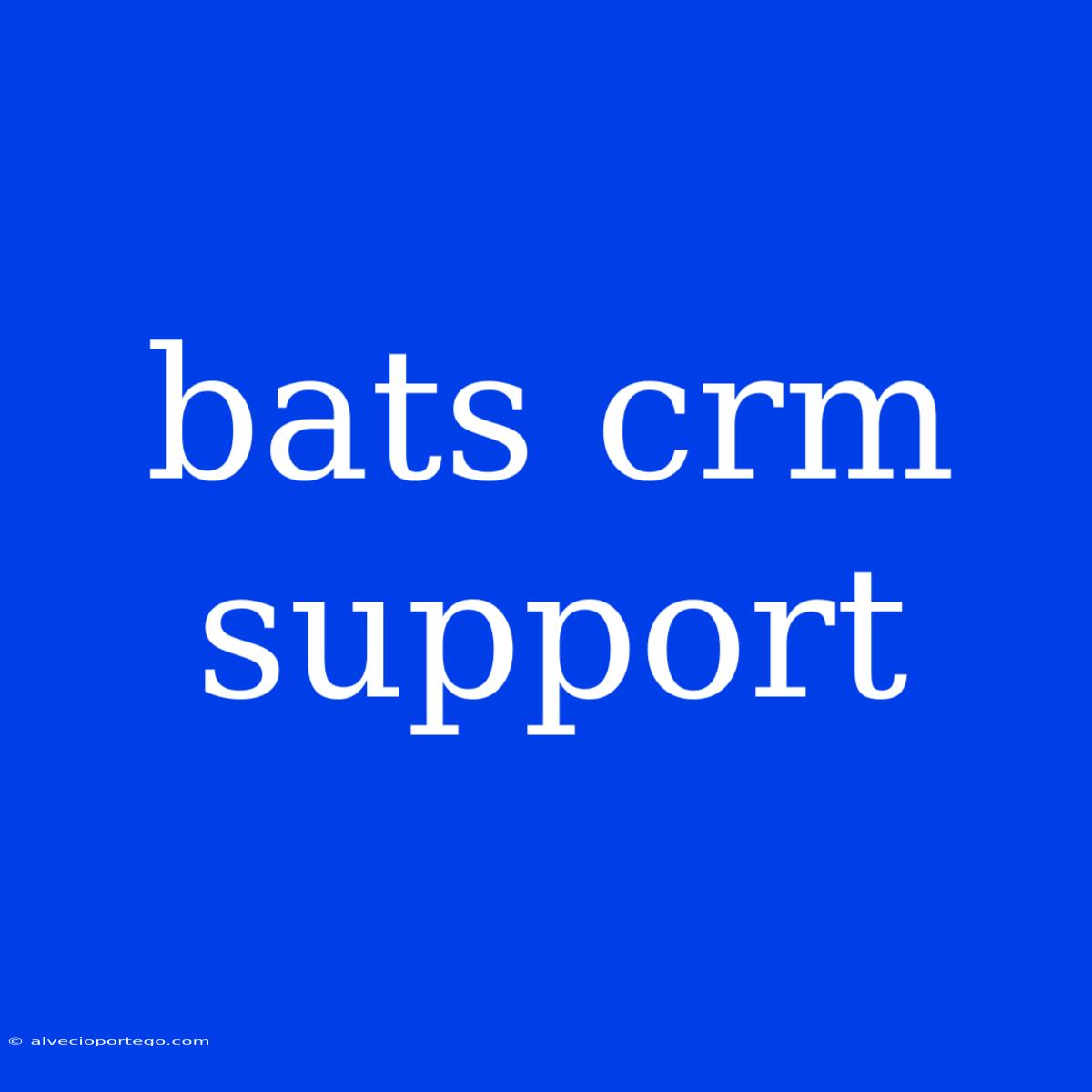 Bats Crm Support