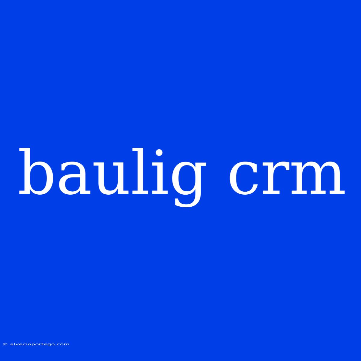 Baulig Crm