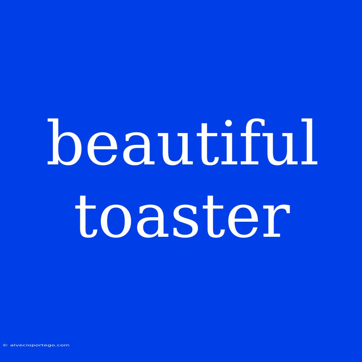 Beautiful Toaster