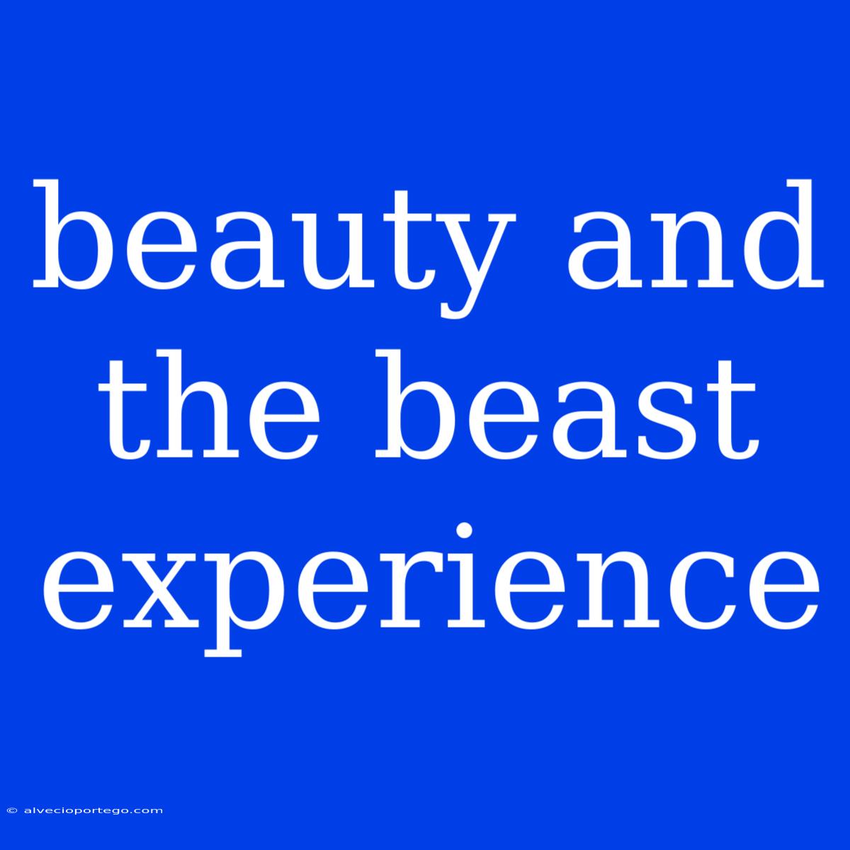 Beauty And The Beast Experience