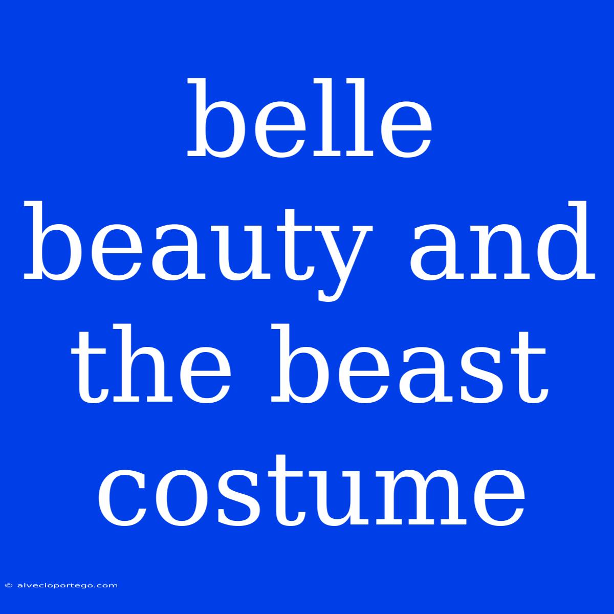 Belle Beauty And The Beast Costume