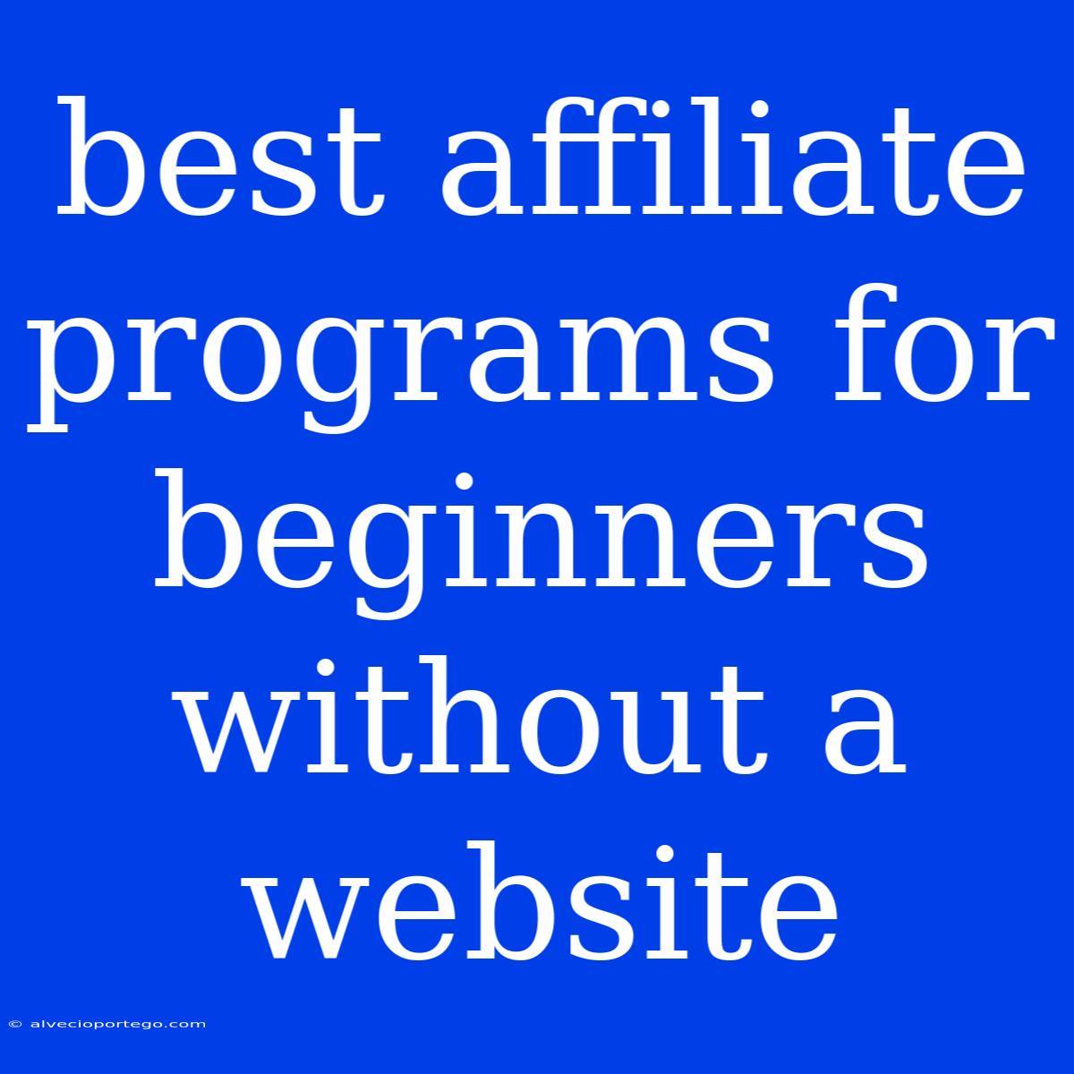 Best Affiliate Programs For Beginners Without A Website