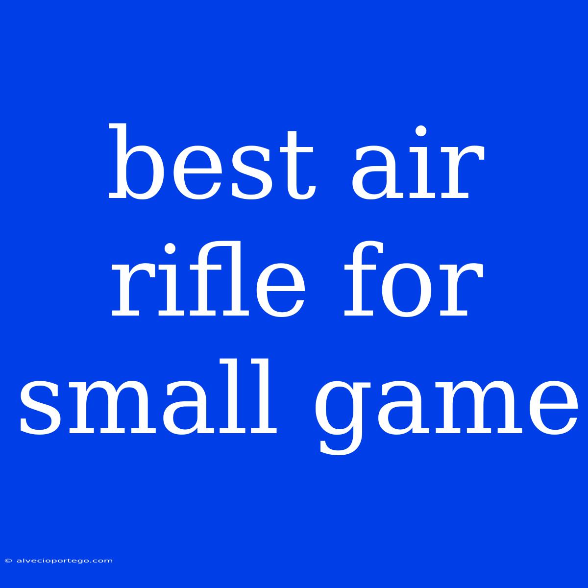 Best Air Rifle For Small Game