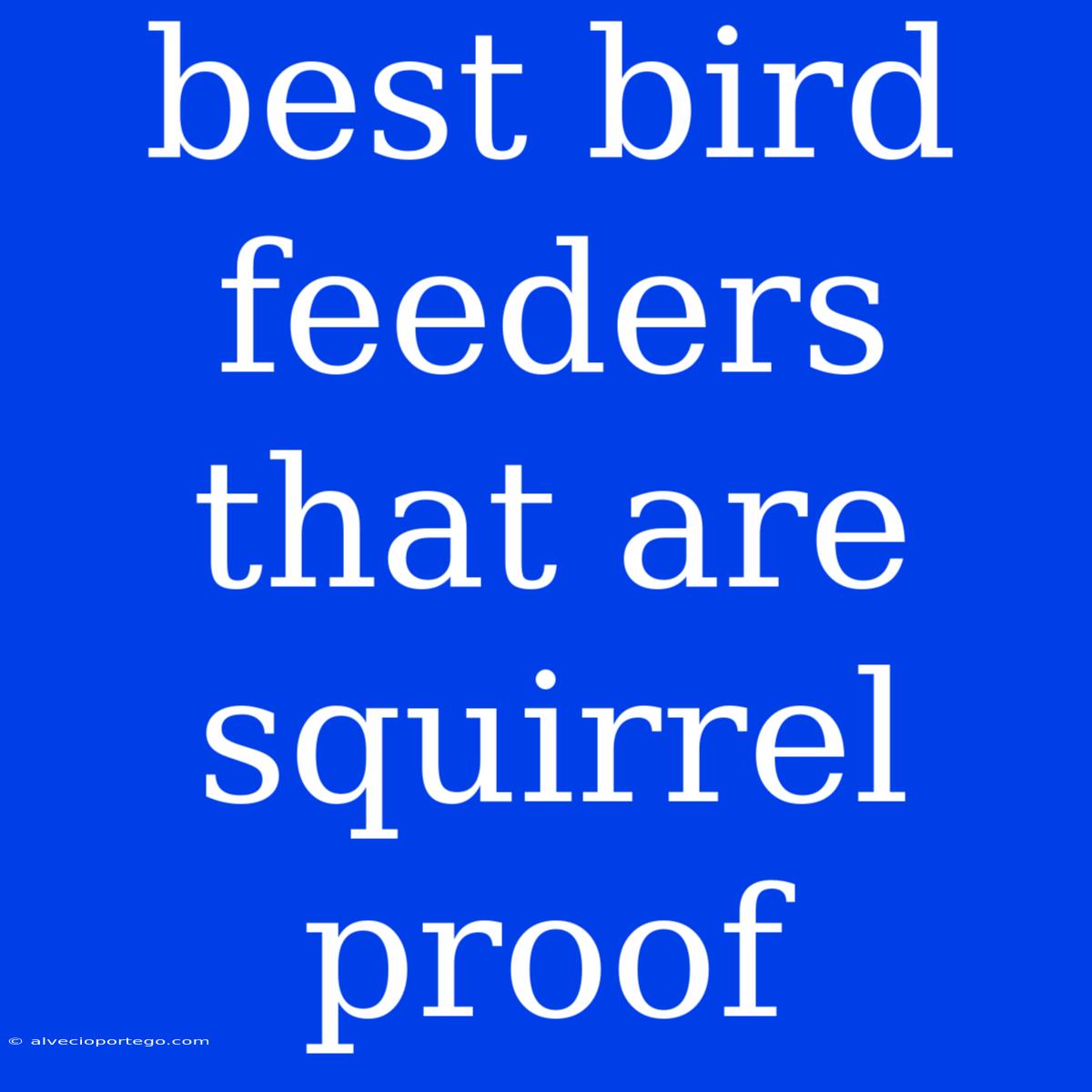 Best Bird Feeders That Are Squirrel Proof