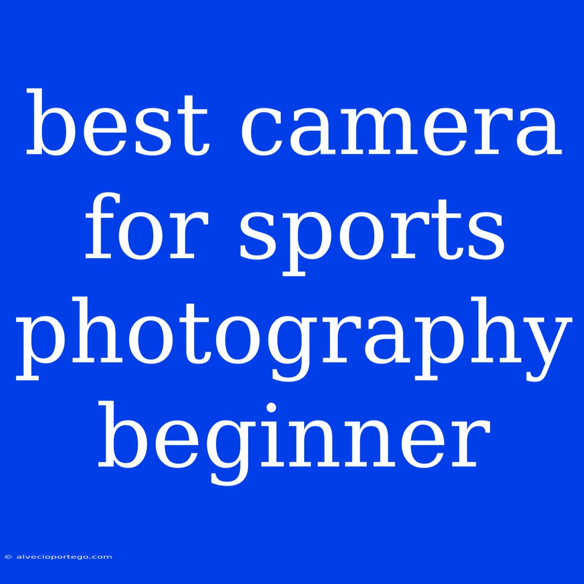 Best Camera For Sports Photography Beginner