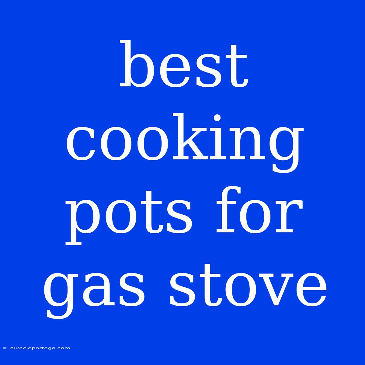 Best Cooking Pots For Gas Stove