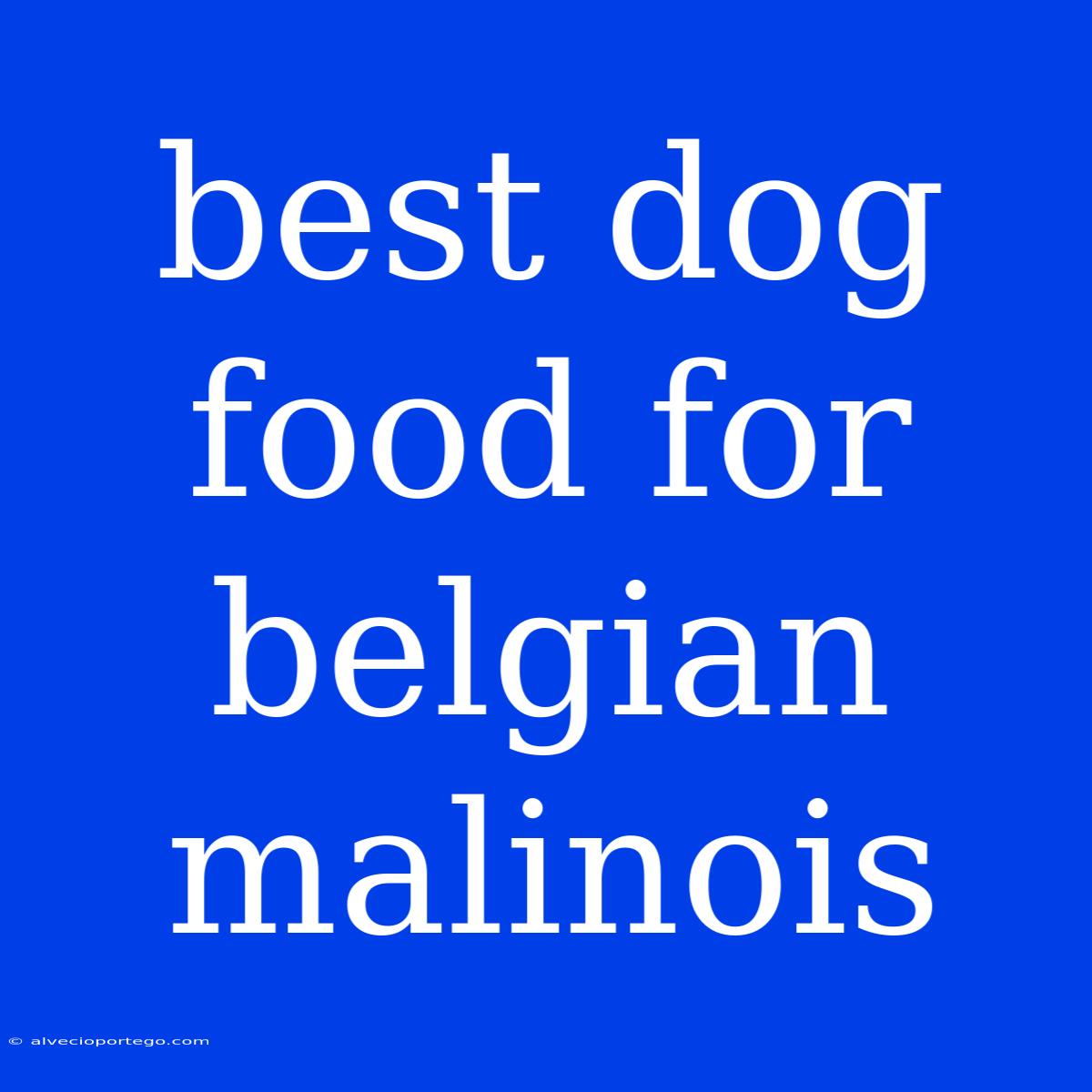 Best Dog Food For Belgian Malinois