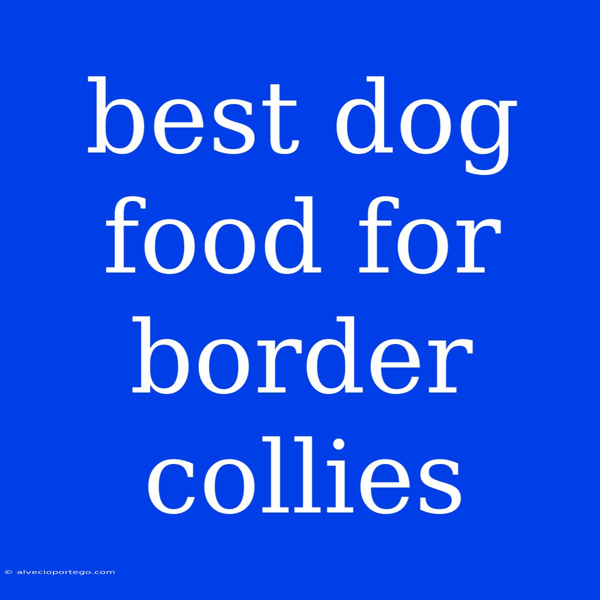 Best Dog Food For Border Collies