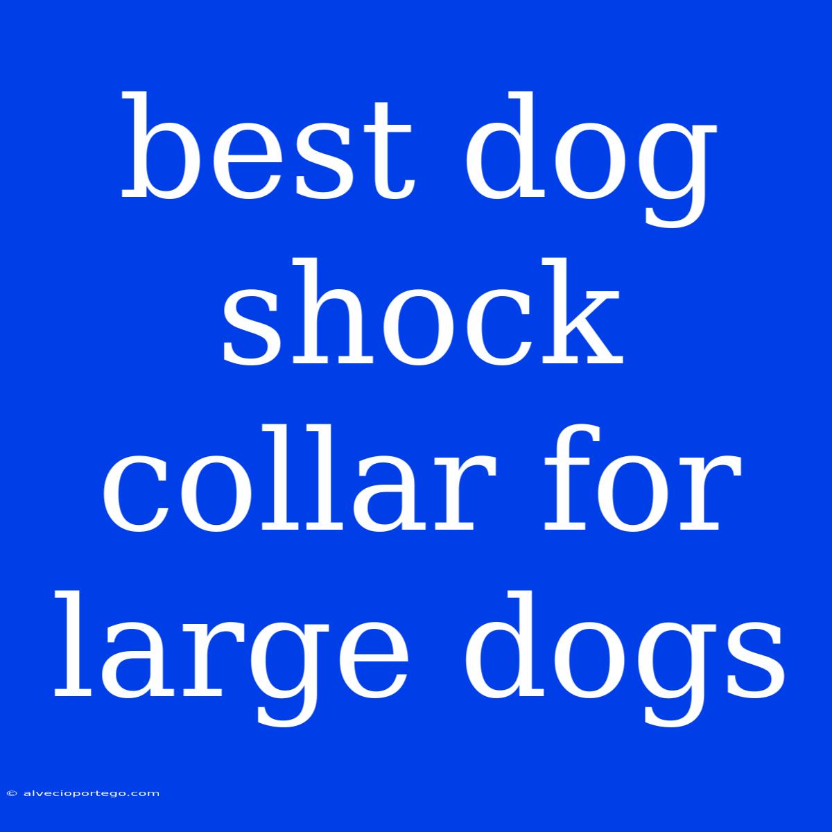 Best Dog Shock Collar For Large Dogs