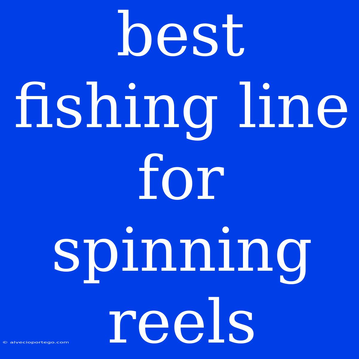 Best Fishing Line For Spinning Reels