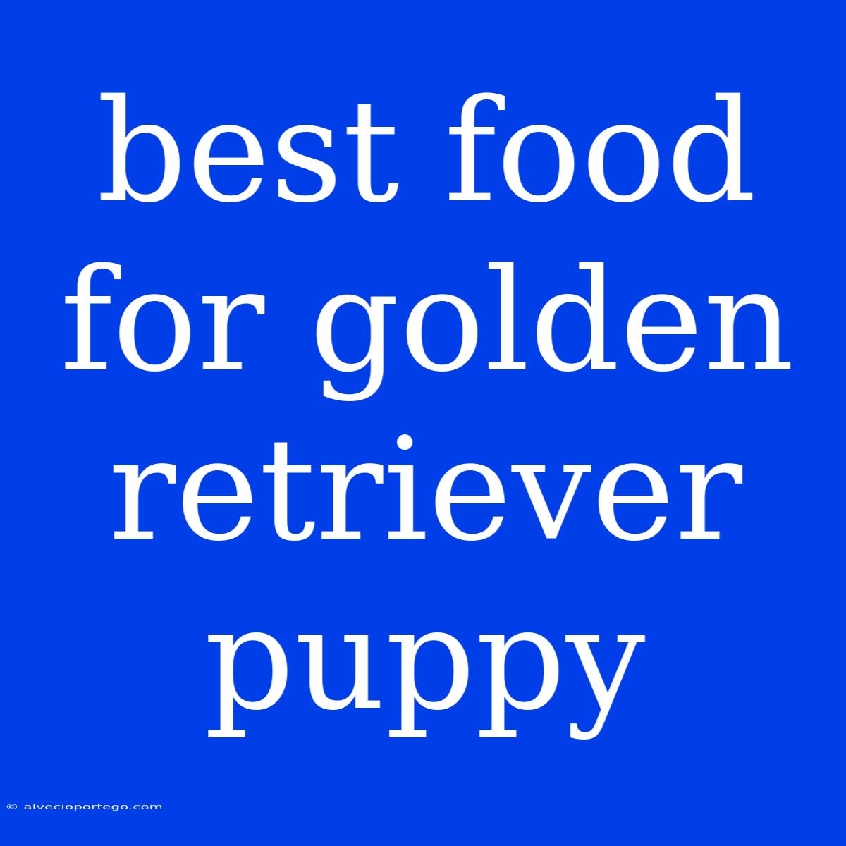 Best Food For Golden Retriever Puppy