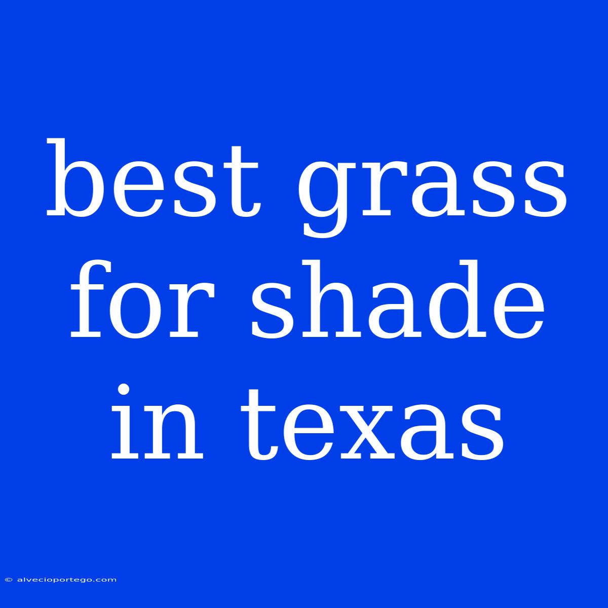 Best Grass For Shade In Texas