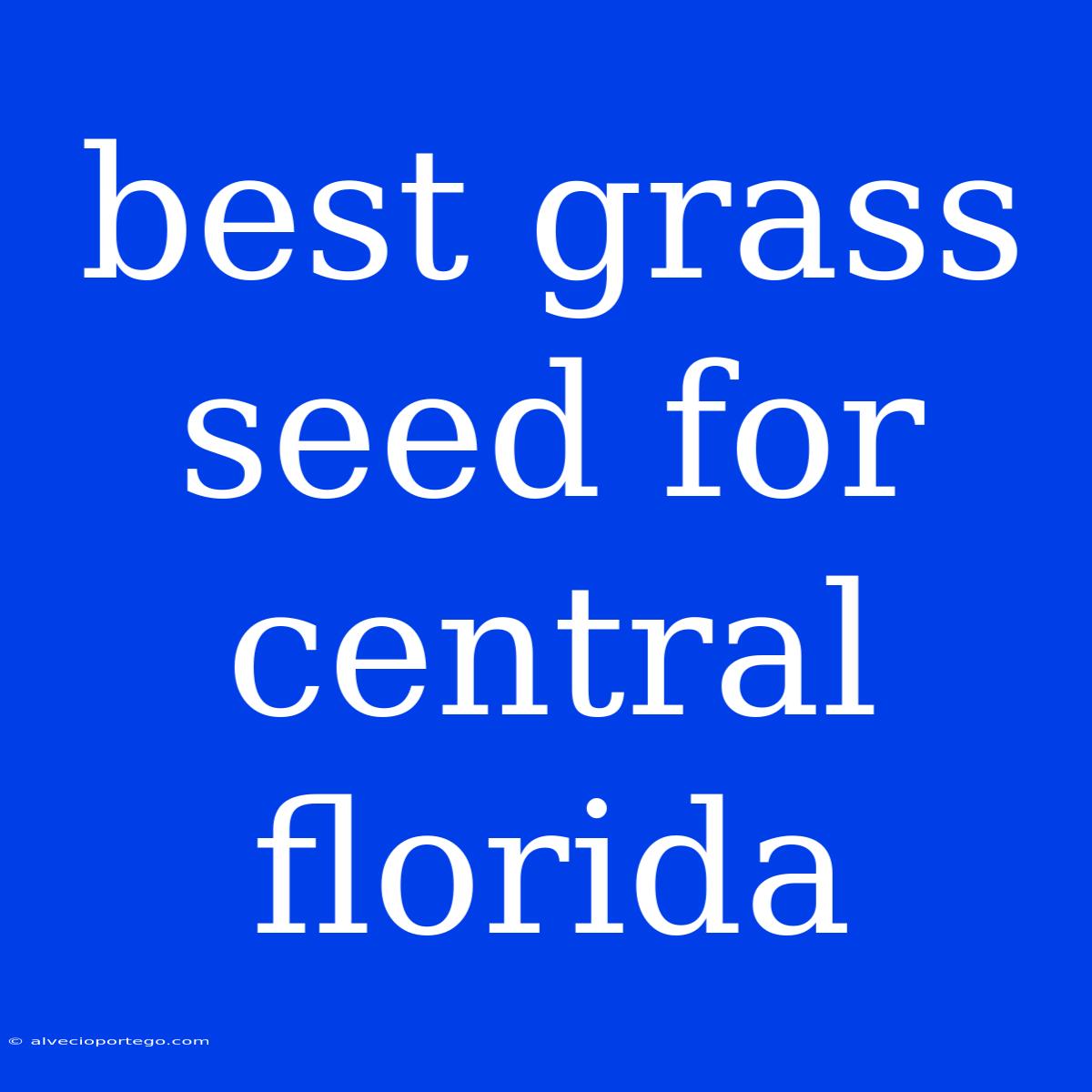 Best Grass Seed For Central Florida