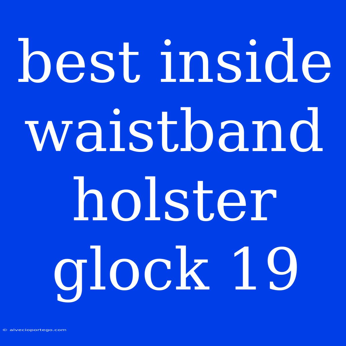 Best Inside Waistband Holster Glock 19