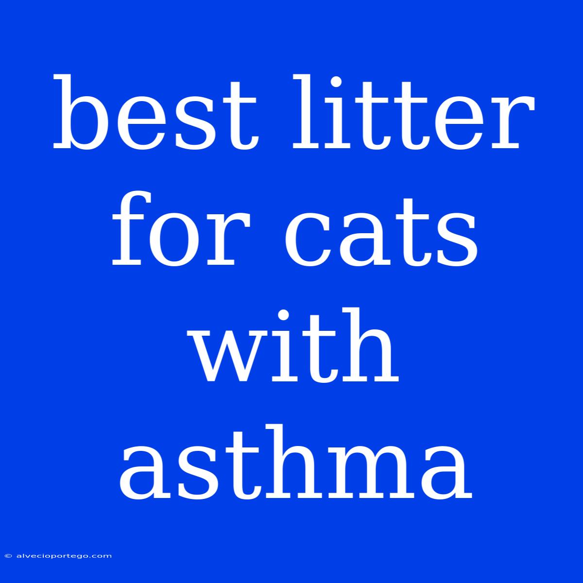 Best Litter For Cats With Asthma