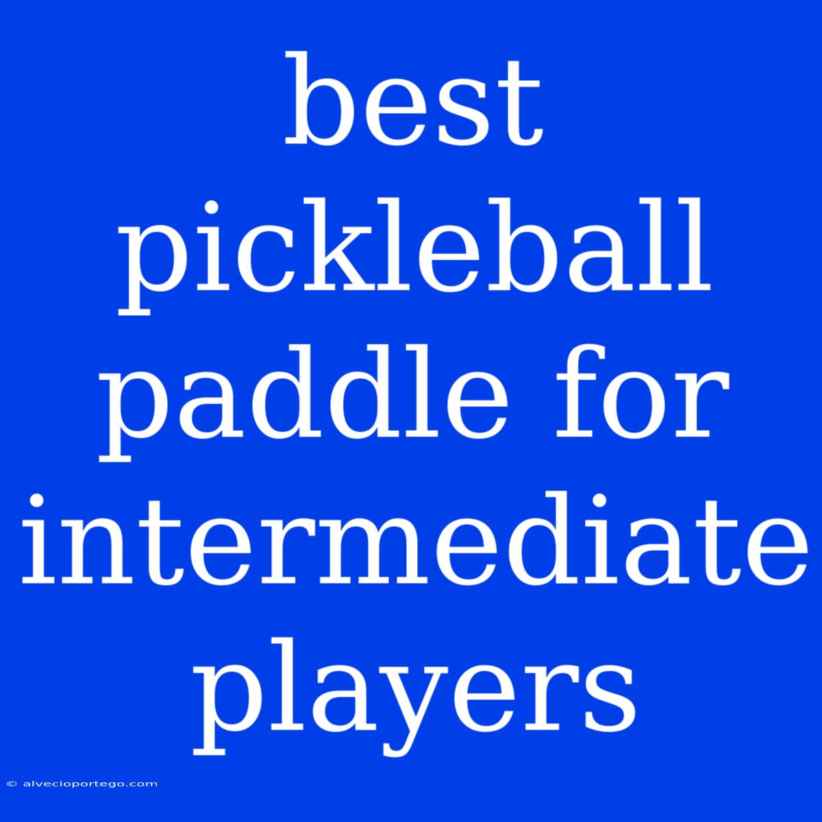 Best Pickleball Paddle For Intermediate Players